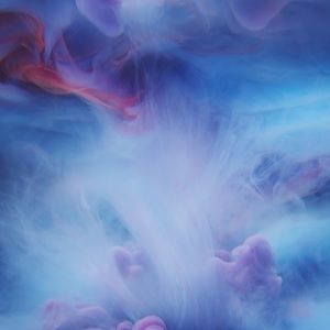 Meet your Posher, Ely